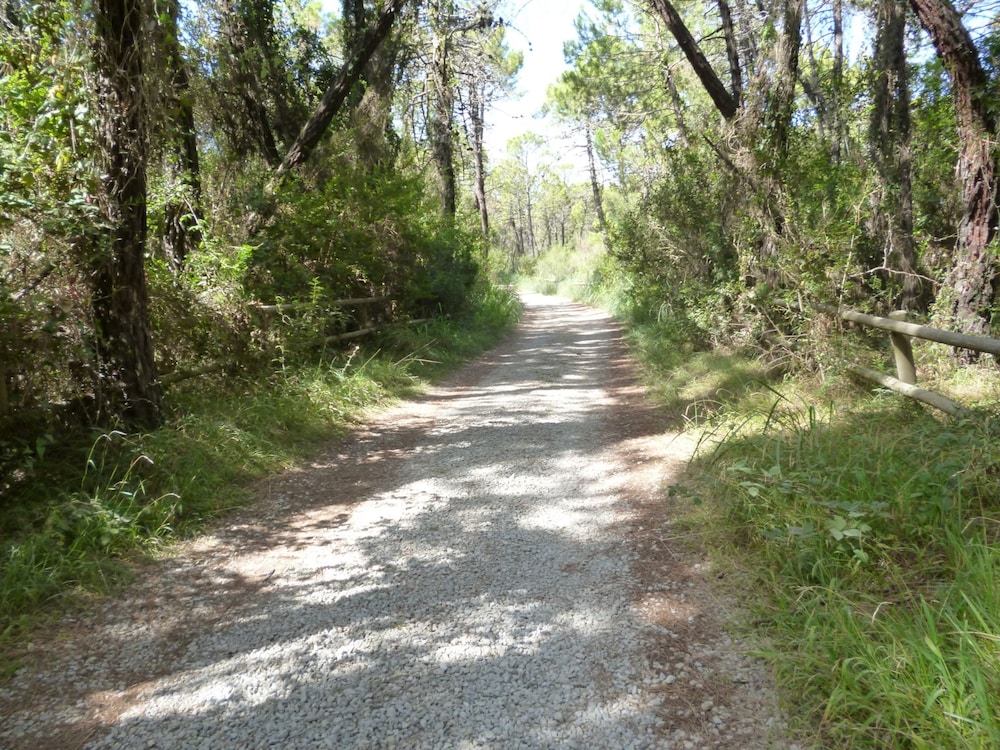 Photo 32