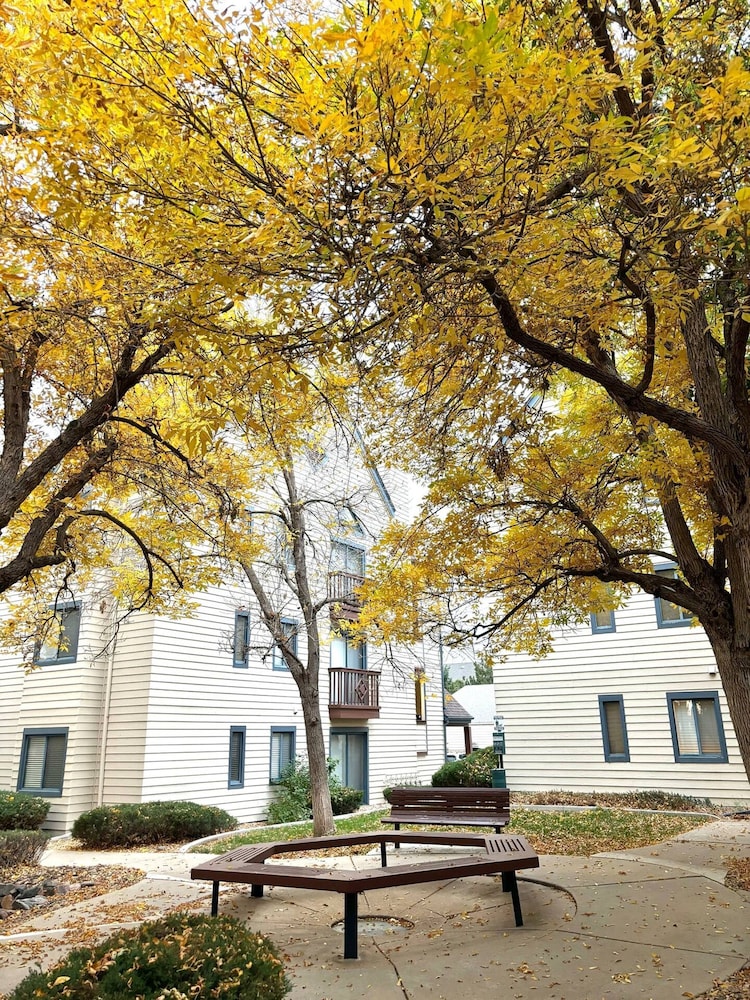 Cozy Private Studio Near Denver - Prime Location