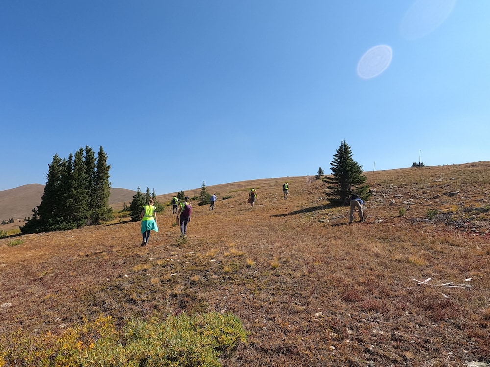 Studio In Lakeside Village, Updated Kitchen & Bath Apts