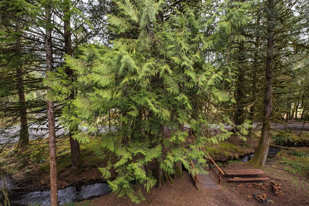 Mt Baker Lodging Condo 94 - A Great Condo Near Skiing and Hiking Now has Wifi