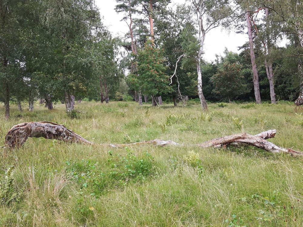 6 Person Holiday Home in Idestrup