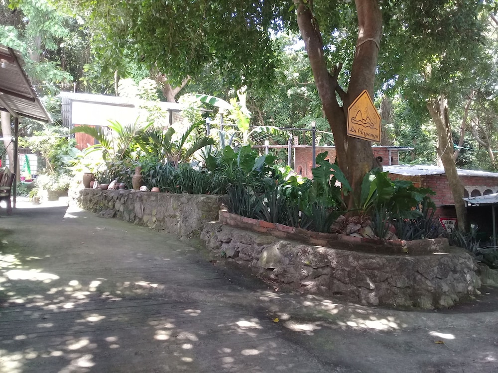 Photo 39