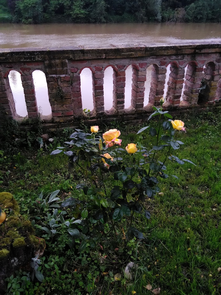 Le Relais de Joseph, photo 19
