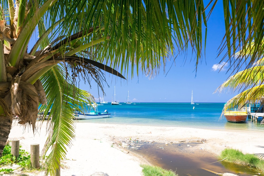 Green Bamboo Cabana