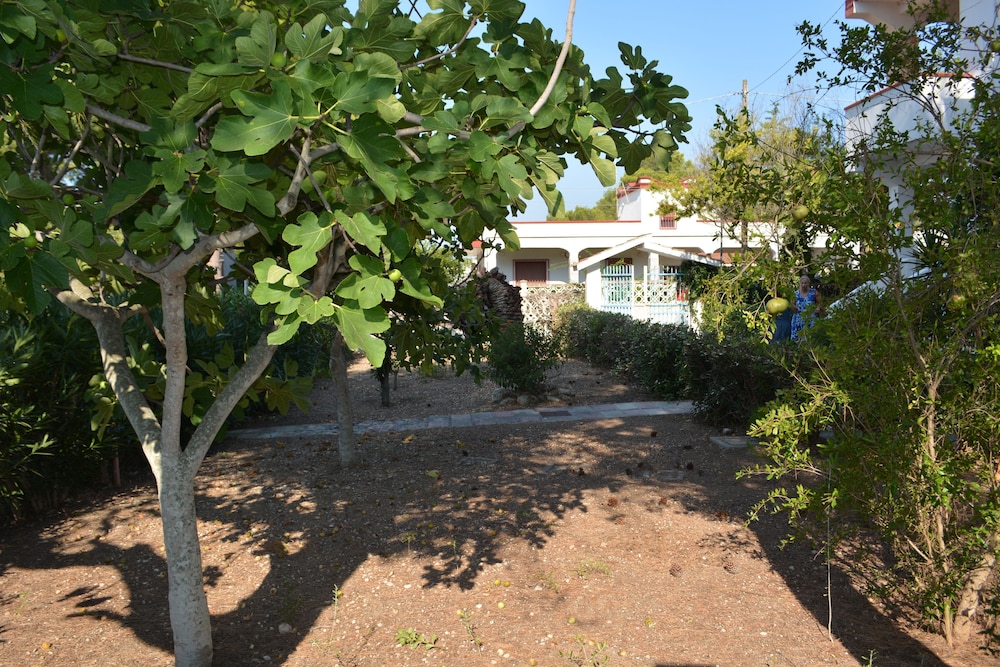 Photo 21