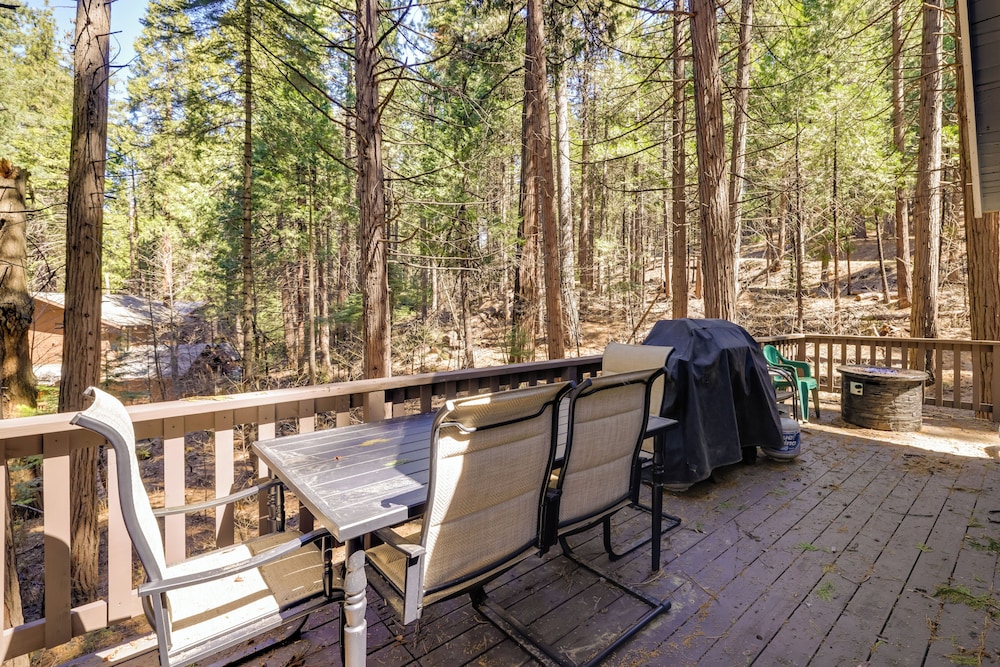 Hike, Ski & Sip: Arnold Cabin 4 Mi to State Park!