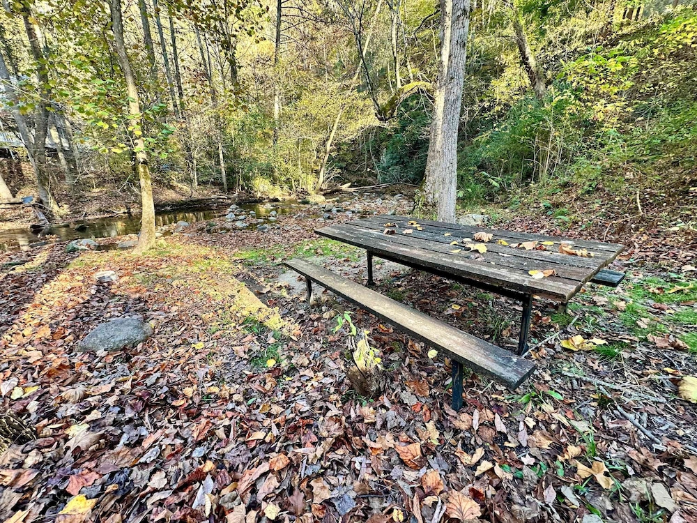 Cove Creek Overlook