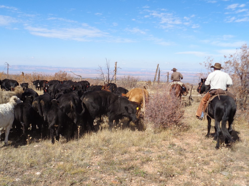 Grand Canyon Ranch & Outfitters