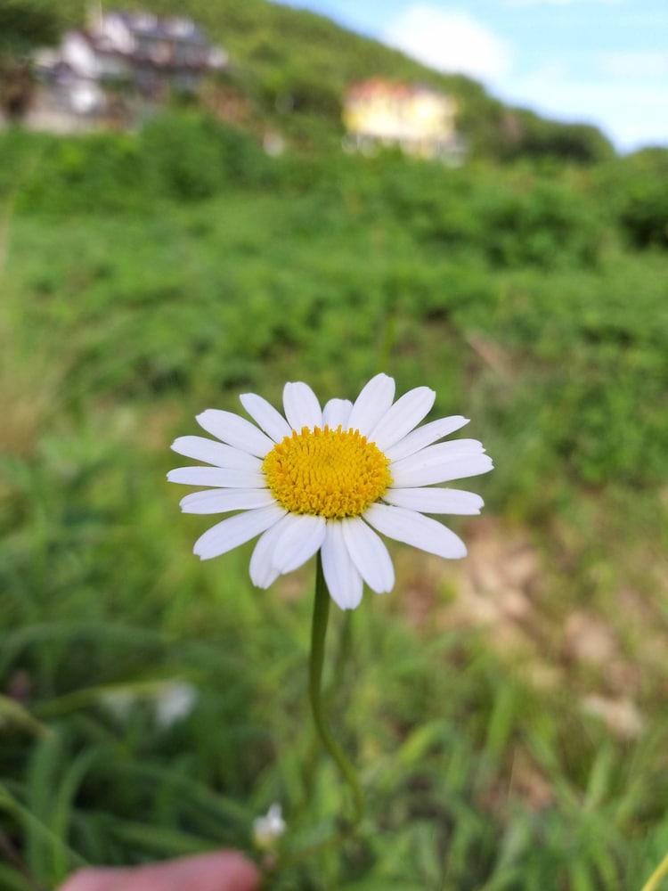 Photo 47