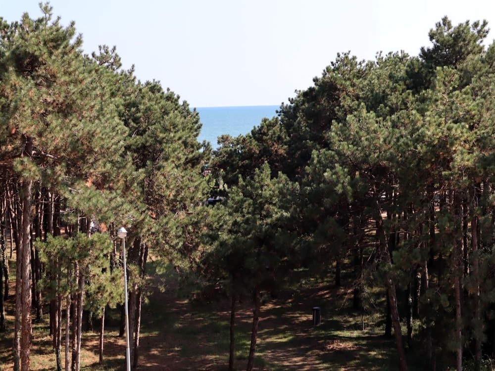Modern Two-bedroom Apartment With Seaview Balcony view 2