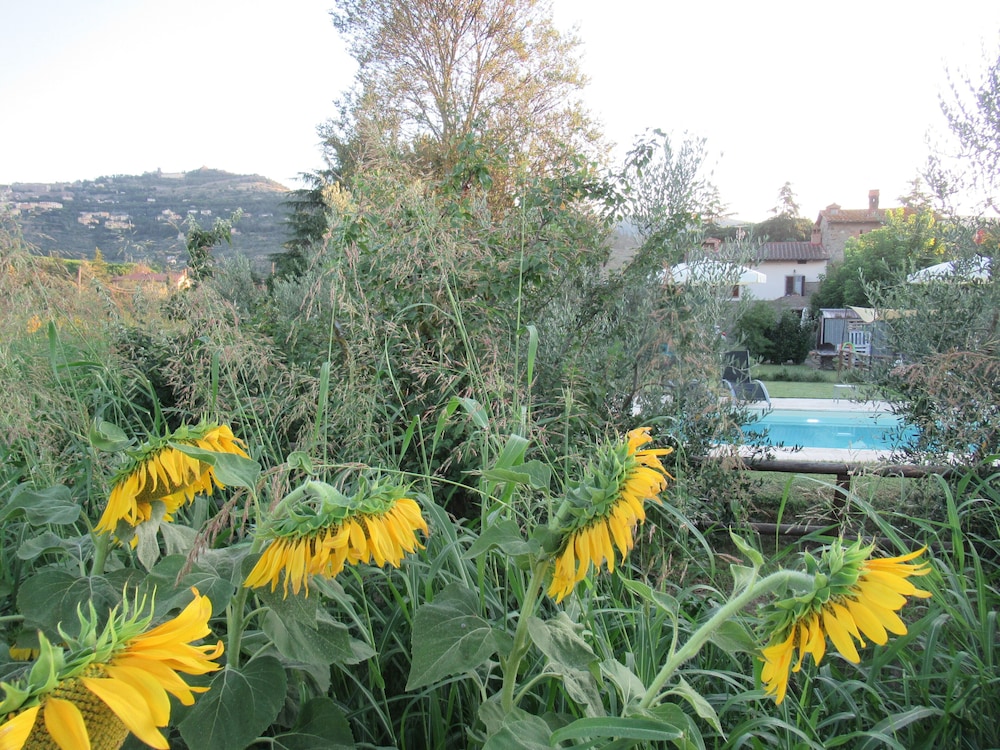 Cortona Vacations - Country House Podere Casorbica - Property Image 17
