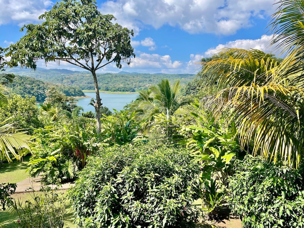 The Fruit Tree Garden Bromeliad Suite
