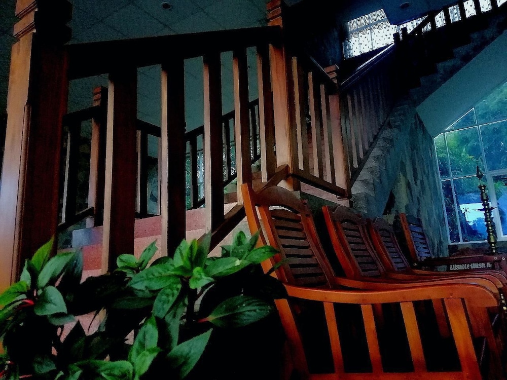 Hotel Lion Nature