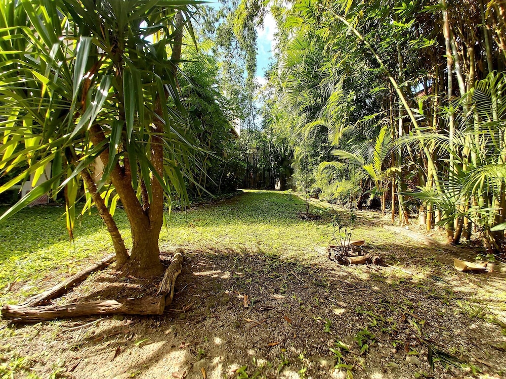 Mini Pini Birdwatching and Cenote Loft4 you Only