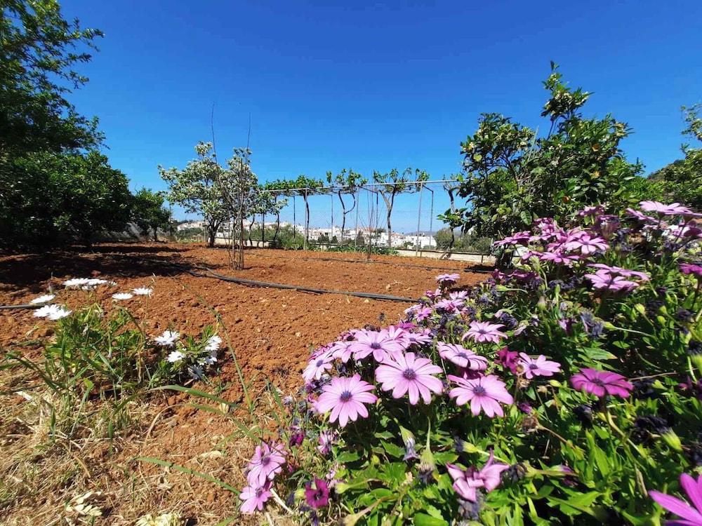 Crete Country Escape 2 Bd w Patio view 3