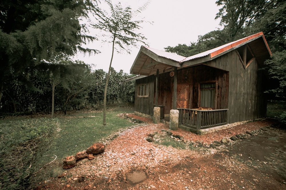 Photo 8