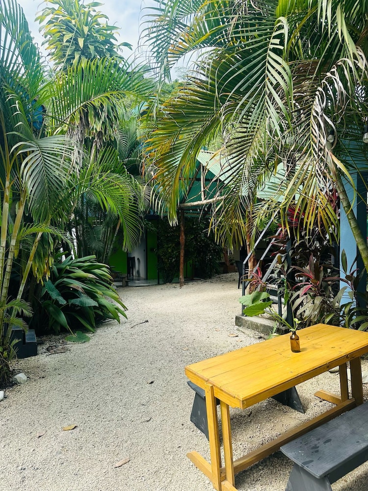 Surf Paradise