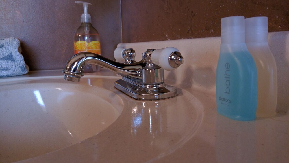 Milwaukee Vacations - Manderley Bed and Breakfast - Property Image 85