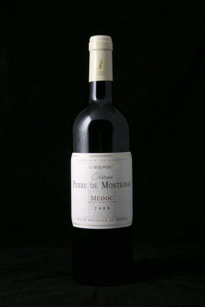 Château Pierre de Montignac