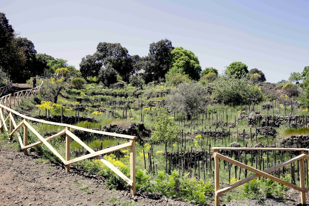 Etnella enoagriturismo Notti Stellate