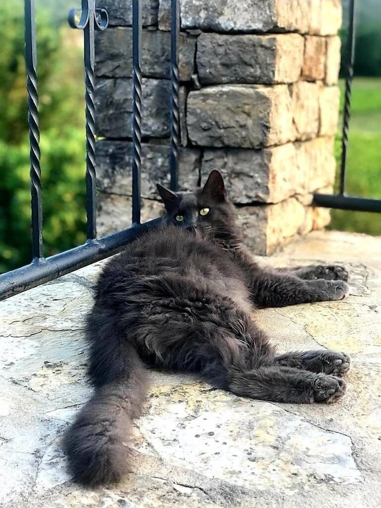 Le Mas de San lou