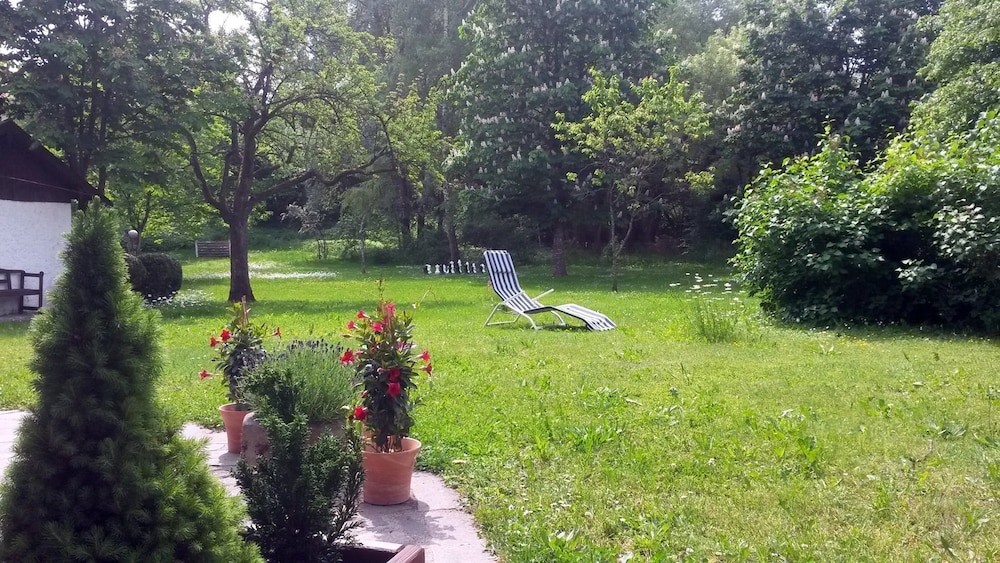 Photo 23