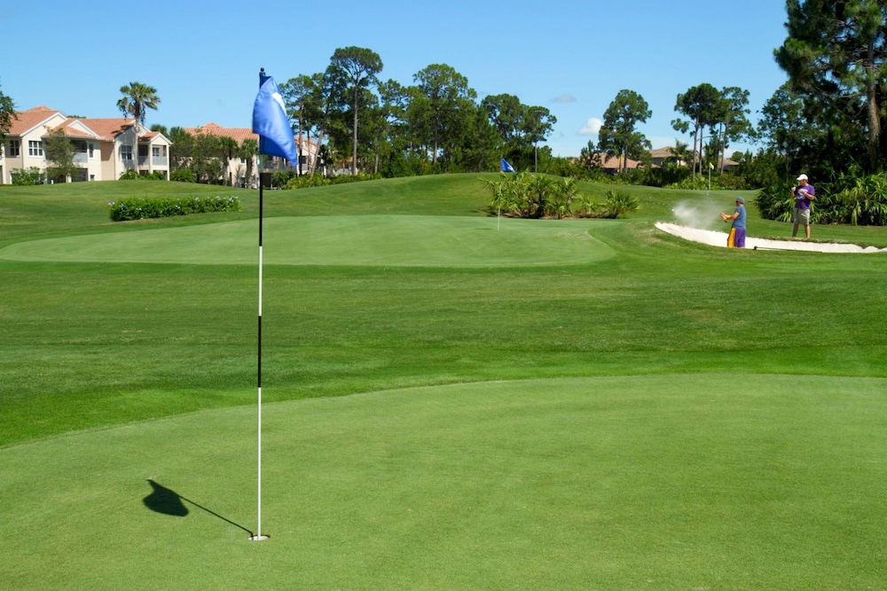 Photo 66
