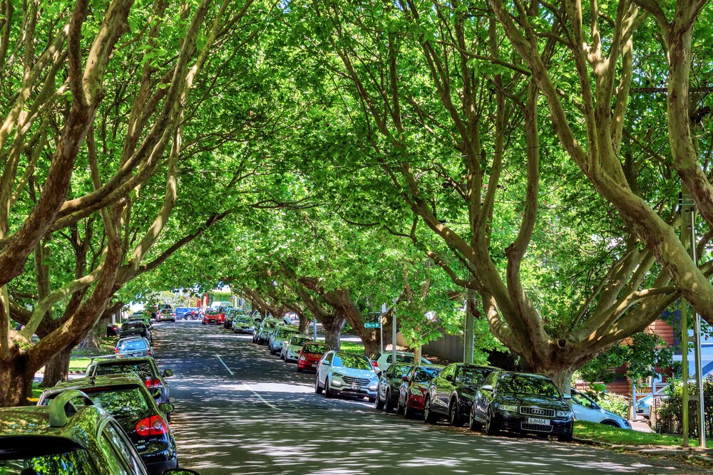 Ponsonby Holiday Home Near The City