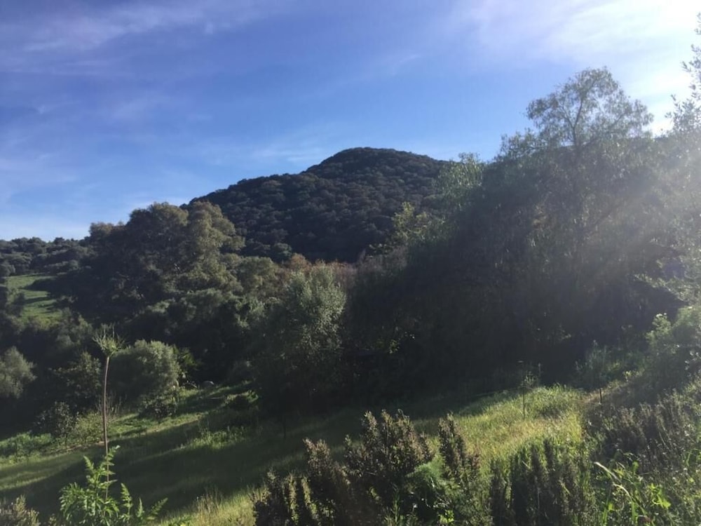 Photo 25