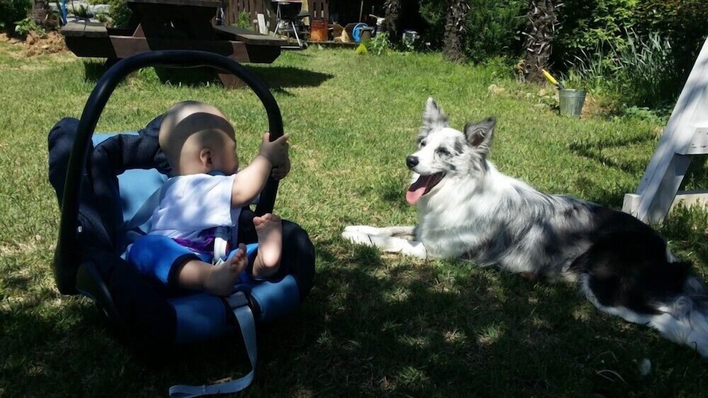 Photo 44
