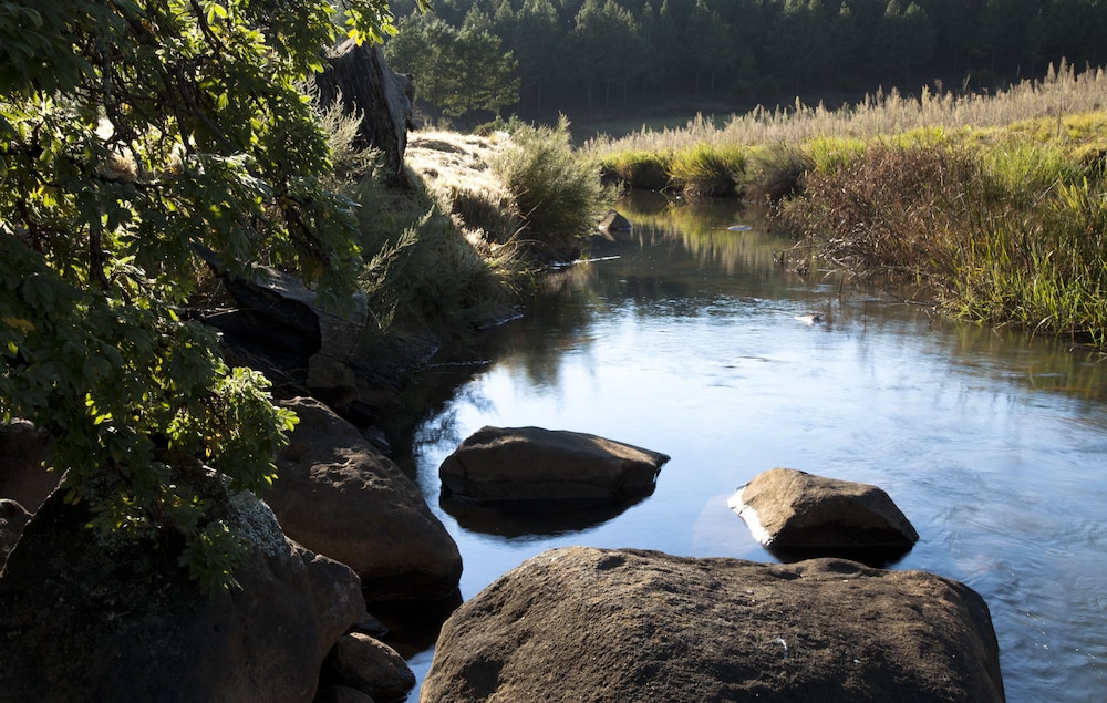 Whispering Waters