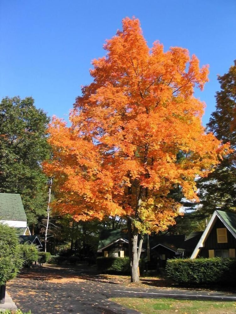 Amber Lantern Lake George Motel and Cottage Rentals