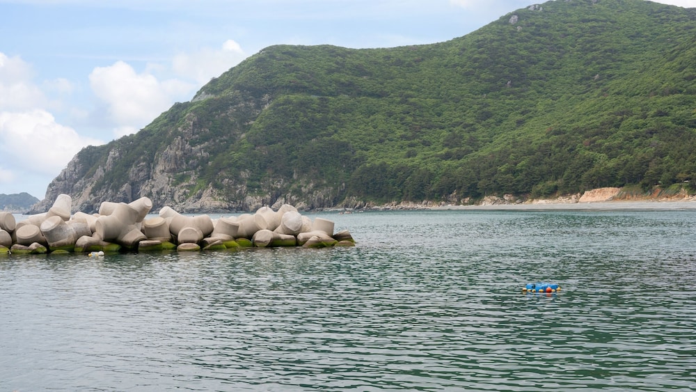 Geoje Yeoul Pet-friendly Pension