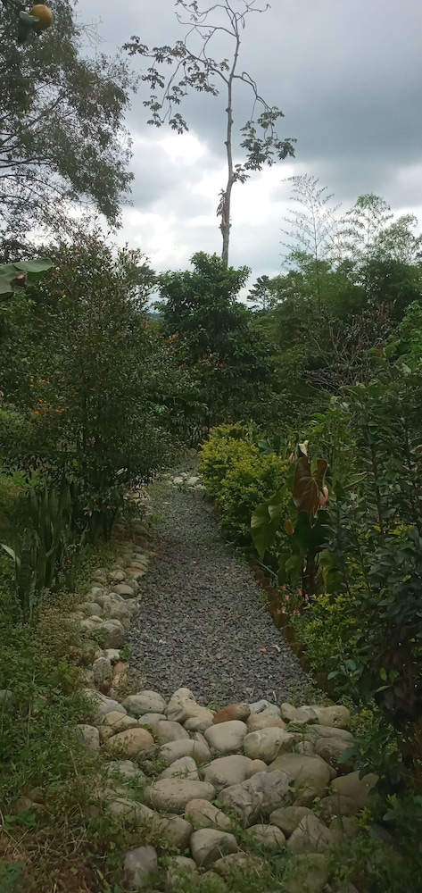 Photo 46