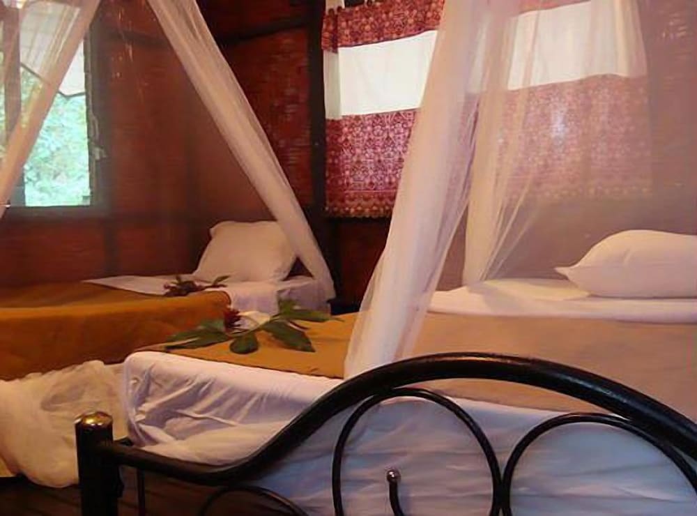 Khao Sok Tree House