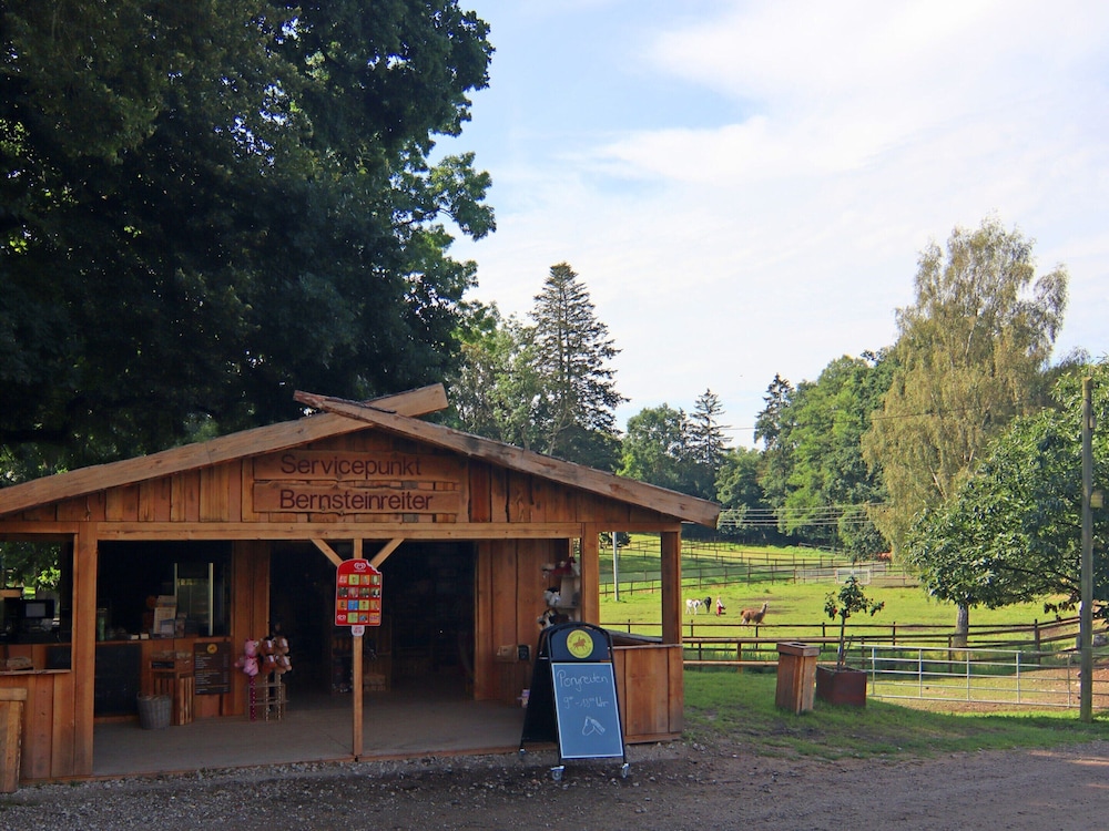 Holiday Home Oliver, Wendorf - Property Image 3
