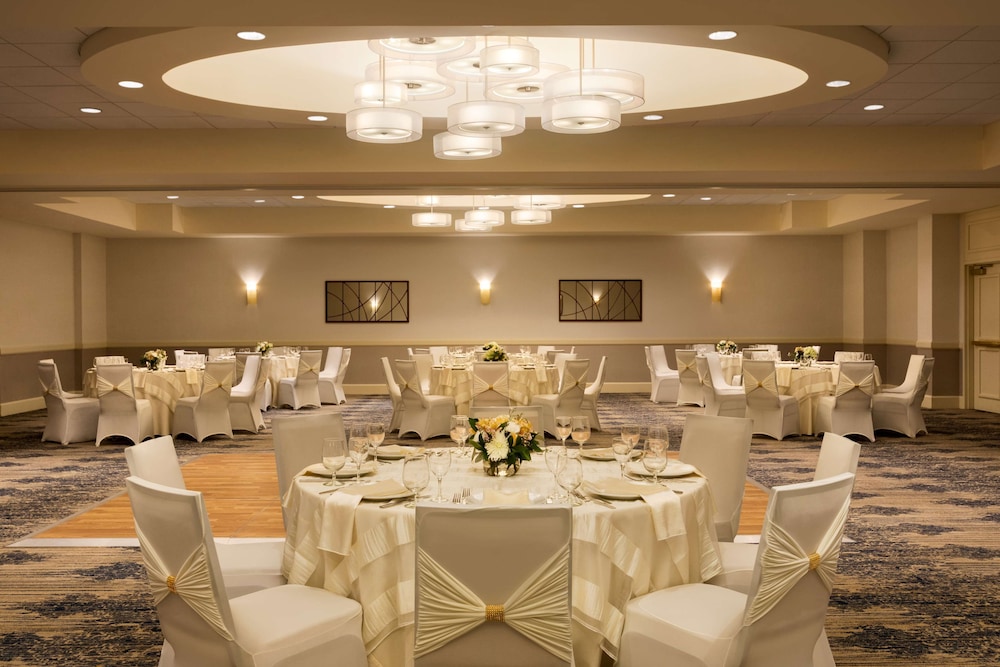 Boston Vacations - Embassy Suites by Hilton Boston Waltham - Property Image 38