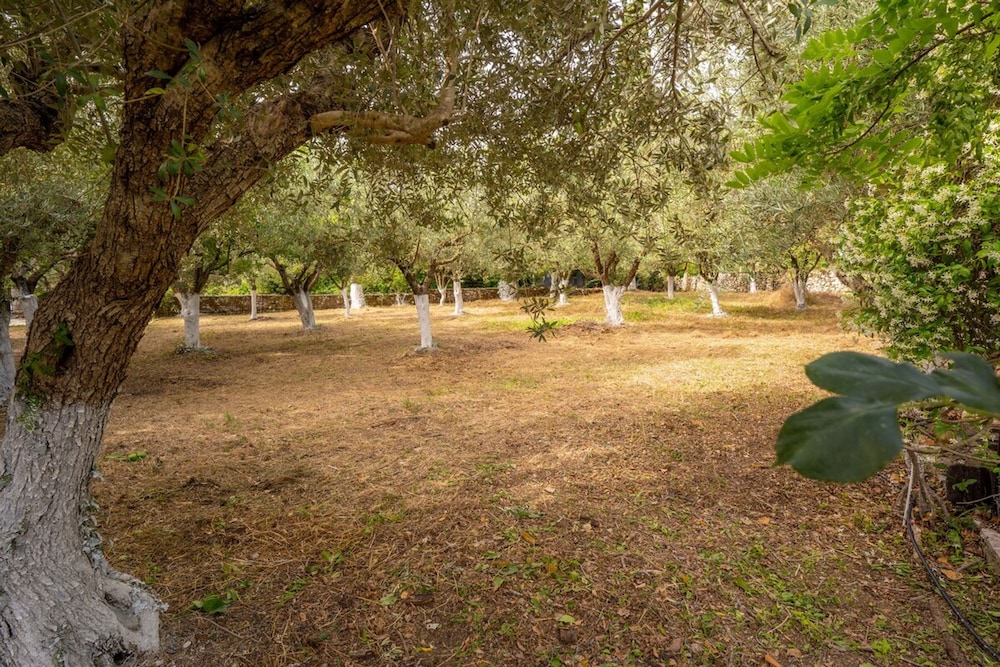 Aspro Stone Mansion in the Best Area of Lefkada