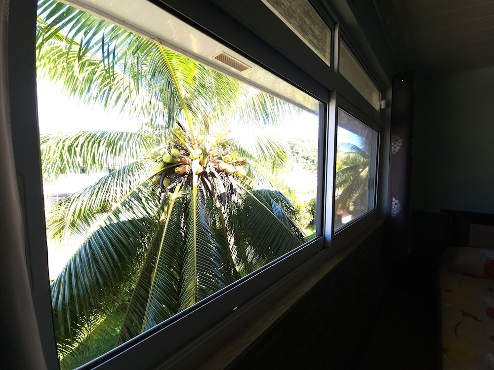 AUTE view 5