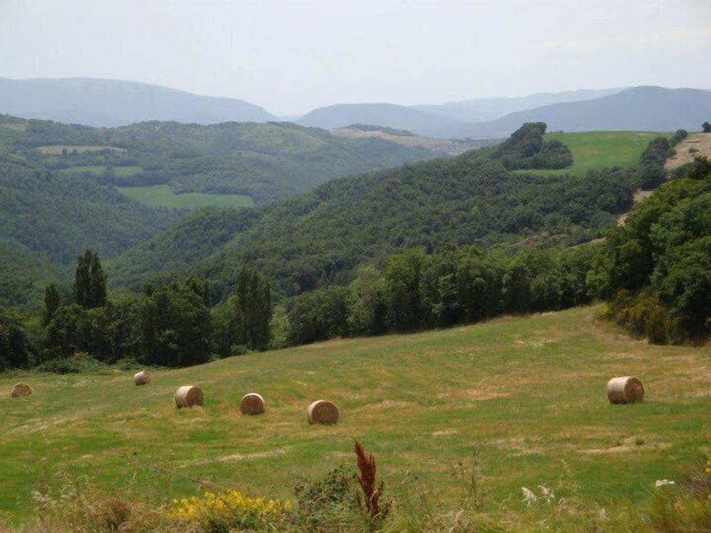 Agriturismo Collina Dei Fagiani, photo 38