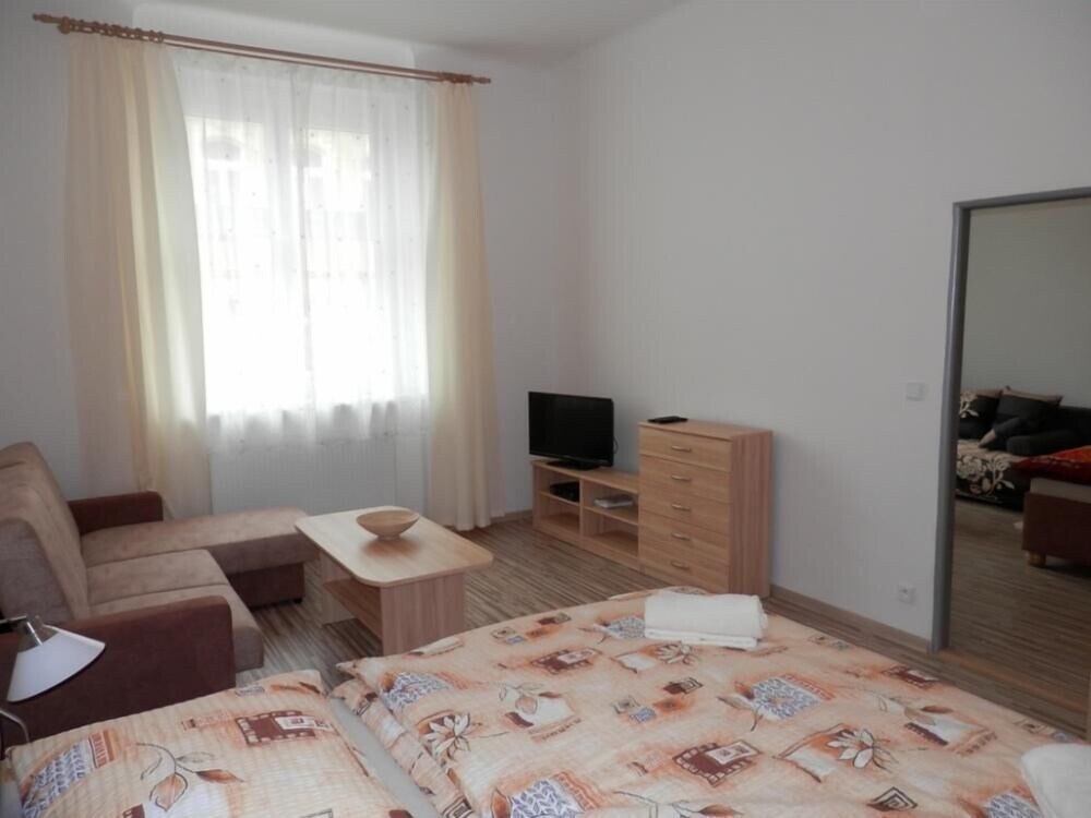 Apartment No. 27 Zeyerova 3 view 5