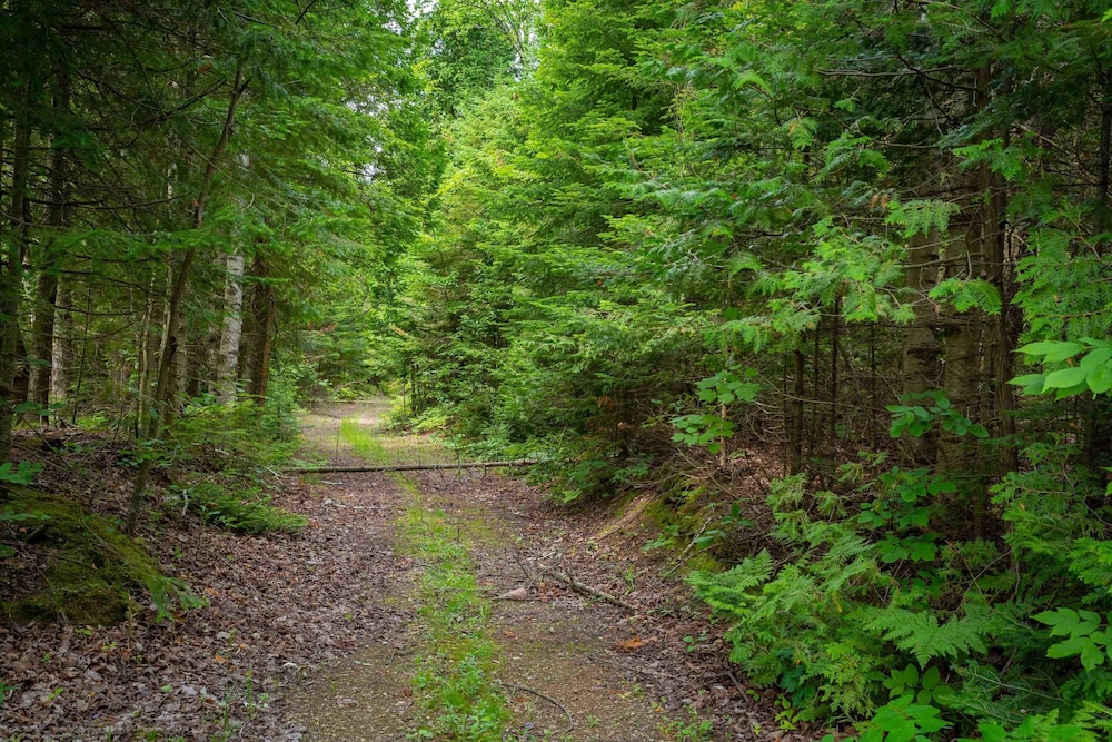 Nature Lovers Retreat log Home - L il Ranch