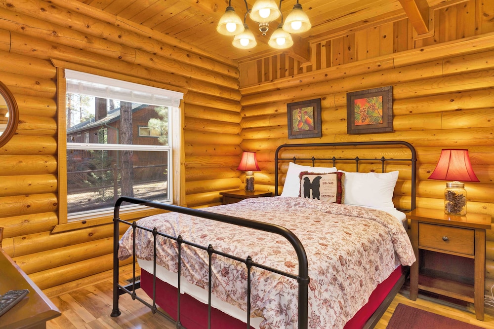 Cub's Cabin #2561