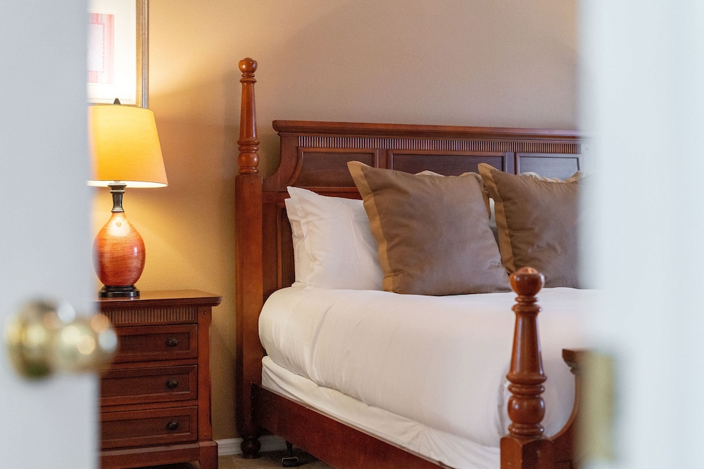 Mickeys Retreat at Solana Private Pool! - Image 4