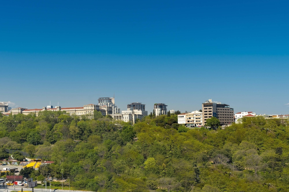 The Ritz-Carlton, İstanbul - Image 59