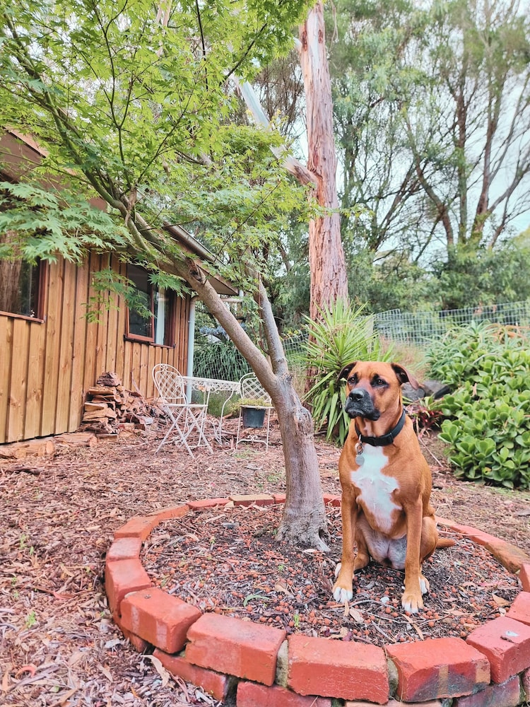 Rustic Country Lane Farmhouse in Lysterfield
