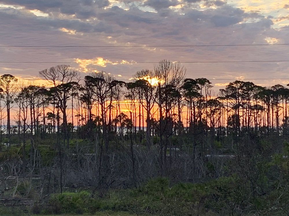 Photo 34
