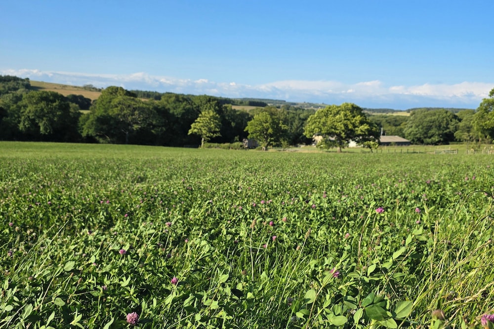 Woodend Hideaway Hamsterley - Sleeps 2 & Garden
