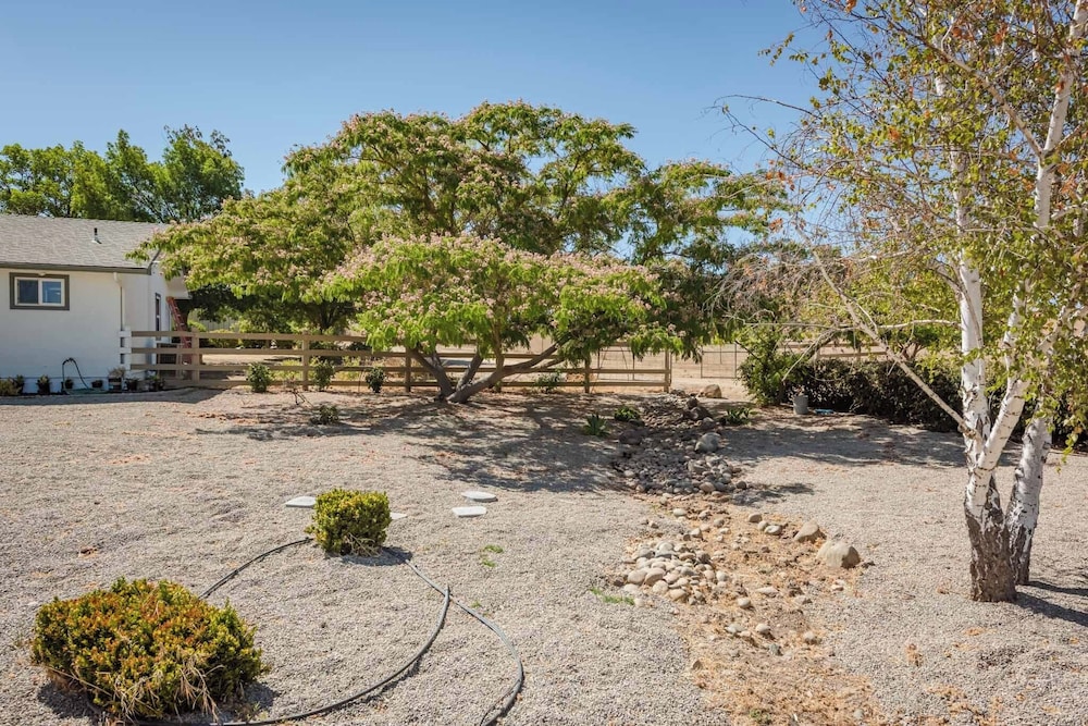 Olive Ranch House