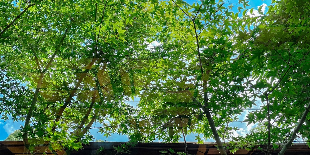 Kappo Ryokan Yumesaki